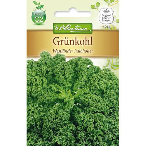 Krmno zelje Westlander slika 1 članek 78715