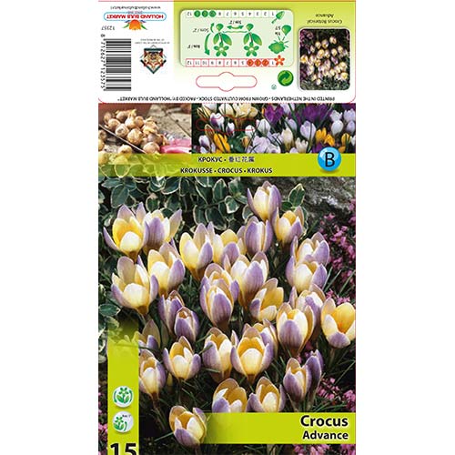 Krokus Advance slika 1 članek 68060