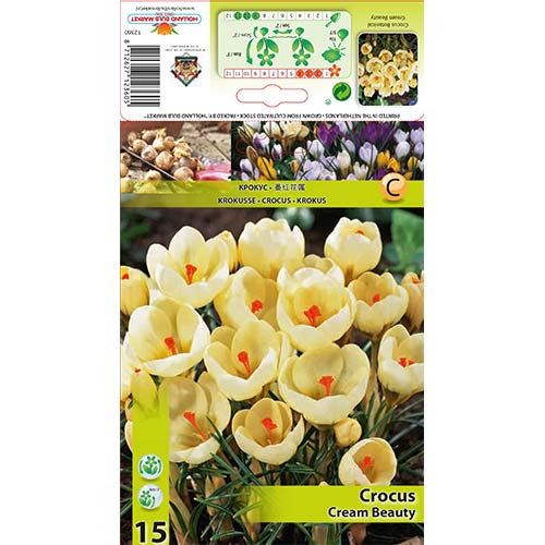 Žafran Cream Beauty slika 1 članek 67328