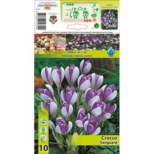 Žafran Vanguard slika 1 članek 67343