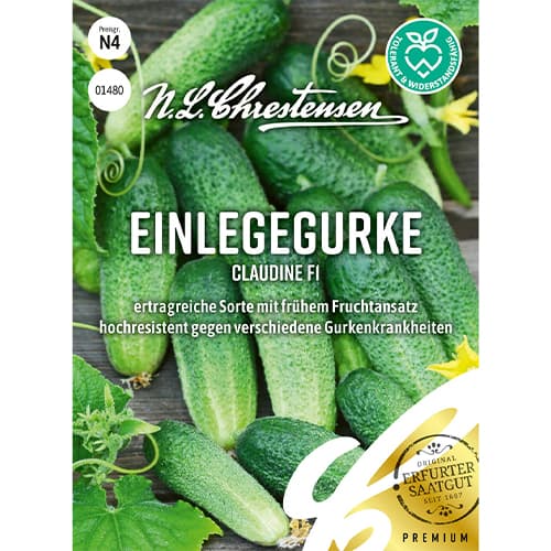 Kumara Claudine F1 slika 1 članek 86034