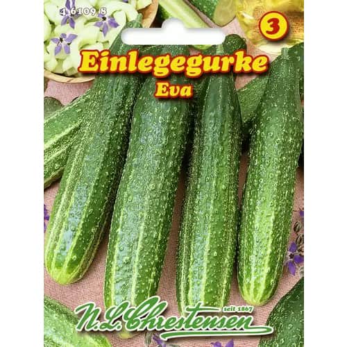 Kumara Eva slika 1 članek 96470