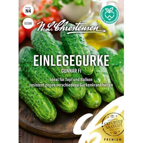 Kumara Gunnar F1 slika 1 članek 86036