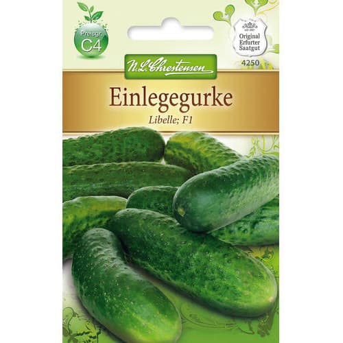 Kumara Libelle F1 slika 1 članek 78786