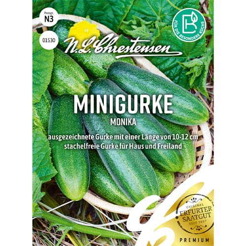 Kumara Monika slika 1 članek 86066