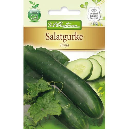 Kumara Tanja slika 1 članek 78792