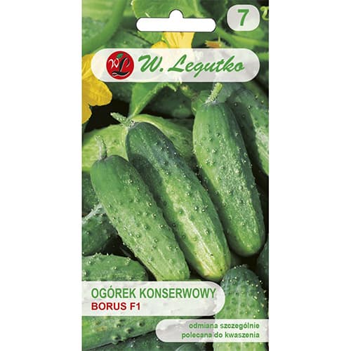 Kumarica Borus F1 slika 1 članek 86882