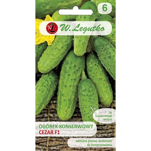 Kumarica Cezar F1 slika 1 članek 86874