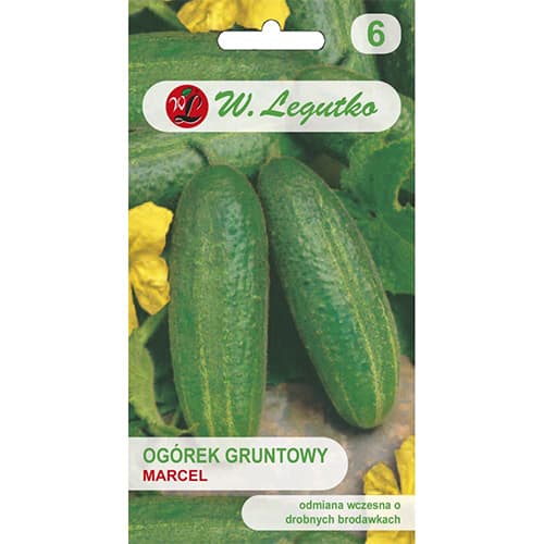 Kumarica Marcel F1 slika 1 članek 86877