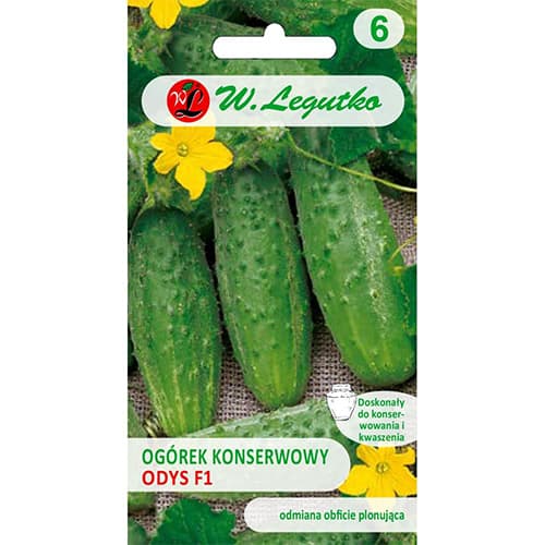 Kumarica Odys F1 slika 1 članek 86879