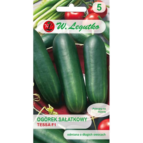 Kumarica Tessa F1 slika 1 članek 86884