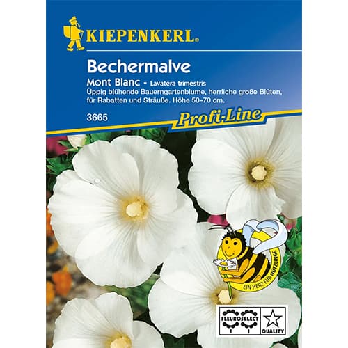 Lavatera Trimestris (Slez) Mont Blanc slika 1 članek 86253