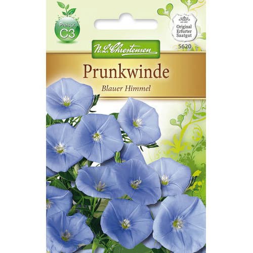 Lepi slak (Ipomea) - Blauer Himmel slika 1 članek 78984