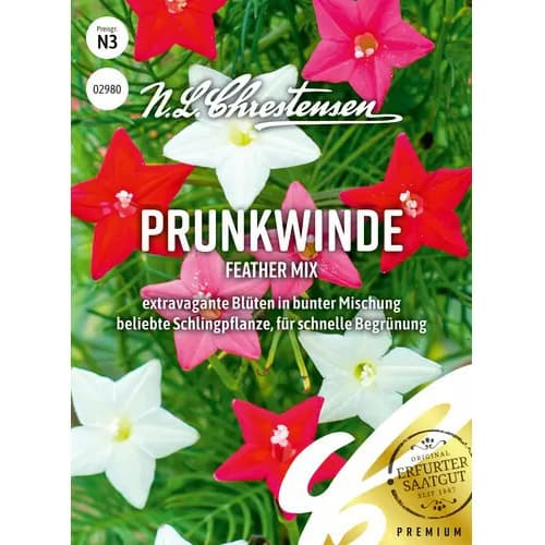 Lepi slak (Ipomea) Feather - mešanica slika 1 članek 87816