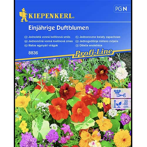 Letno dišeče cvetje, večbarvna mešanica slika 1 članek 96528