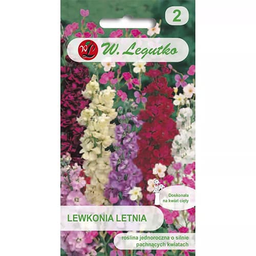 Levkoja, večbarvna mešanica slika 1 članek 87863