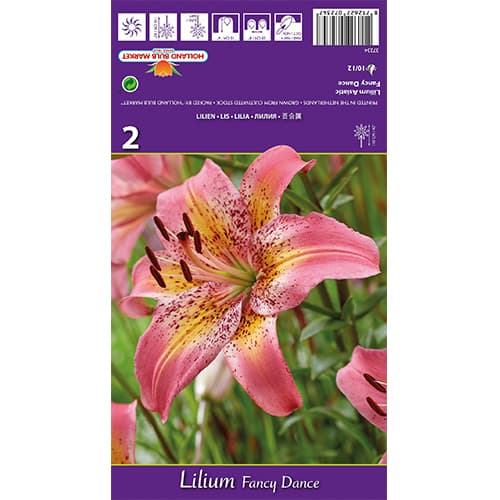 Lilija Fancy Dance slika 1 članek 77836