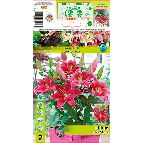 Lilija Love Story slika 1 članek 76313