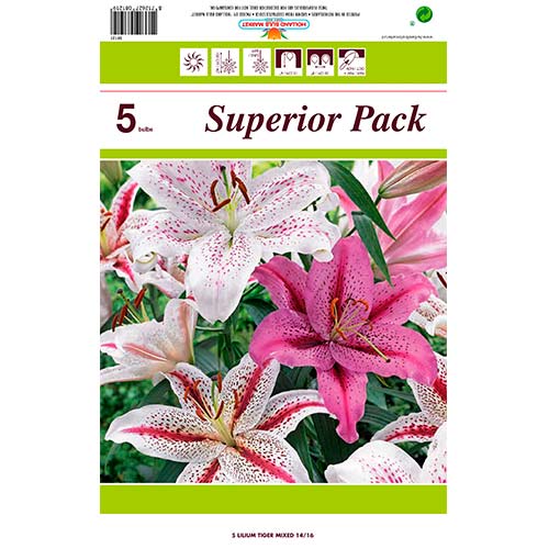 Lilija Tiger večbarvna mešanica slika 1 članek 76480