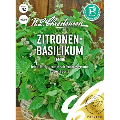 Limonina bazilika Lemon slika 1 članek 96504