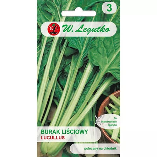 Listnata rdeča pesa Lucullus slika 1 članek 69453