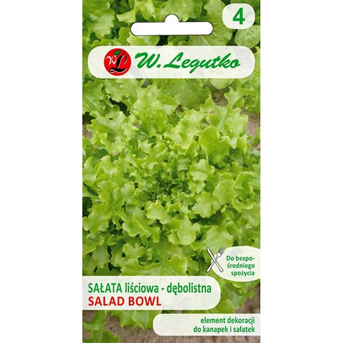 Listnata solata Salad Bowl slika 1 članek 78500