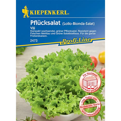 Listnata solata Vili slika 1 članek 96649