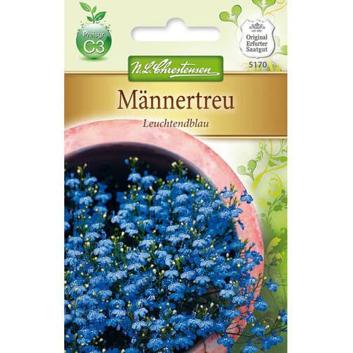 Lobelija Bright Blue slika 1 članek 78918