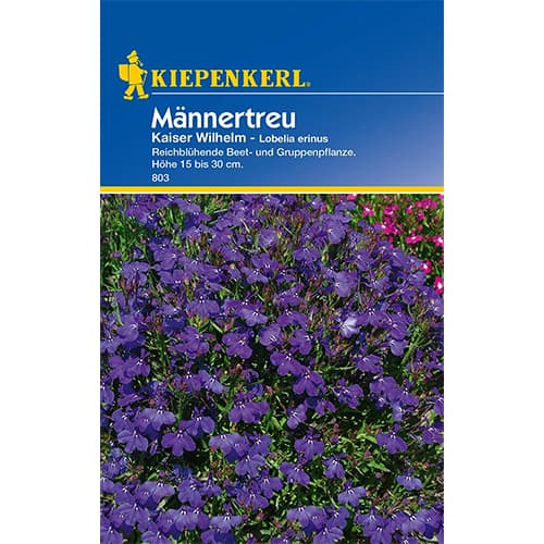 Lobelija Kaiser Wilhem slika 1 članek 77421