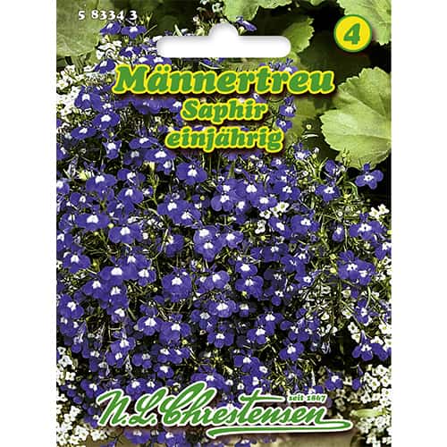 Lobelija Saphir slika 1 članek 86165