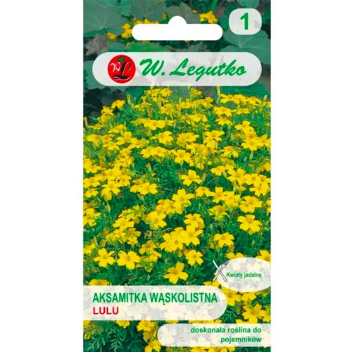 Lulu ozkolistna žametnica slika 1 članek 78508