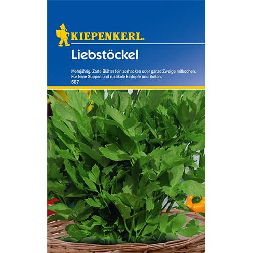 Luštrek trajnica slika 1 članek 77473