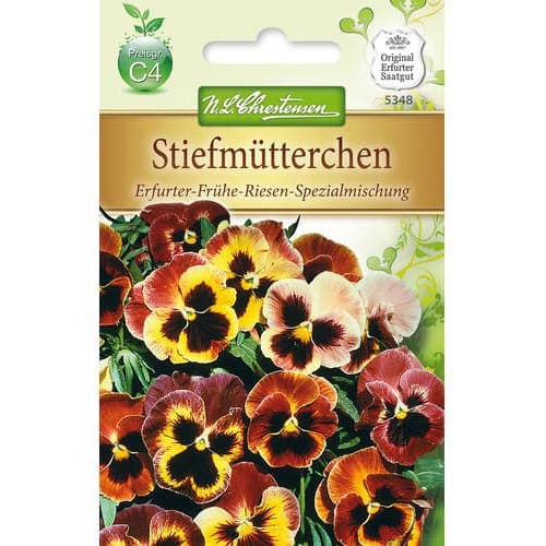 Mačeha Early Giant - mešanica slika 1 članek 78964