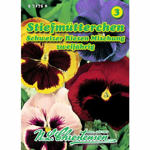 Mačeha - mešanica slika 1 članek 50039