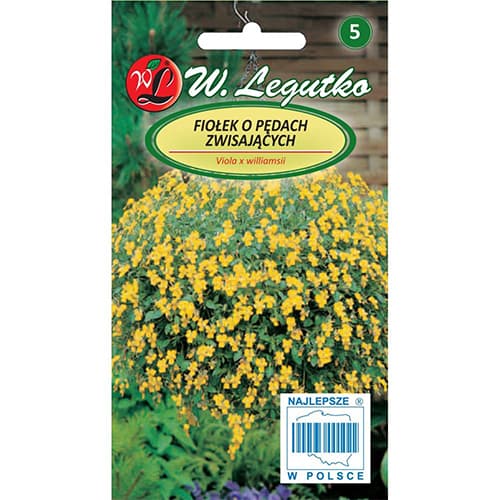 Mačeha prelivajoče se rumena slika 1 članek 69587