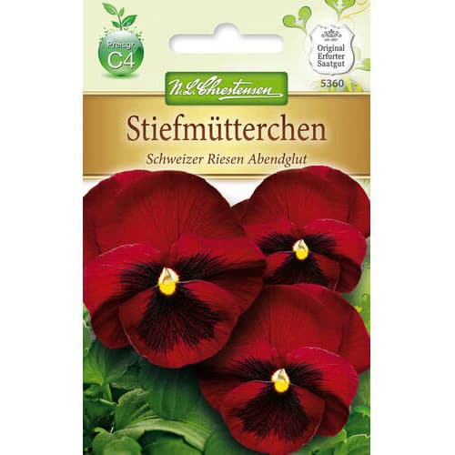 Mačeha Swiss Giant Evening glow slika 1 članek 78965