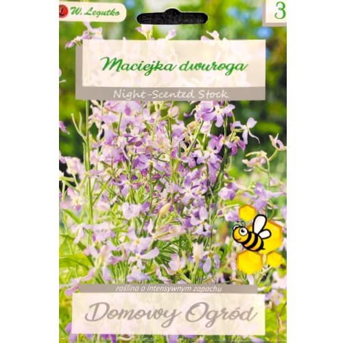 Maciejka dvoroga roza sivka slika 1 članek 78578