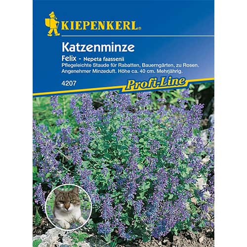 Mačja meta Felix slika 1 članek 96548