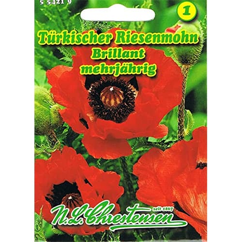 Mak Brillant slika 1 članek 78831