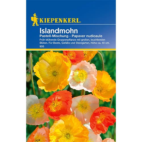 Mak Pastell, večbarvna mešanica slika 1 članek 77422