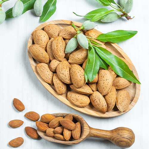 Mandelj Avijor, С2 slika 1 članek 7947