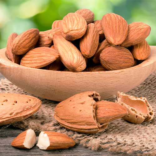 Mandelj Ferragnes slika 1 članek 7949