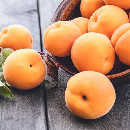 Marelica Anubis slika 1 članek 4856