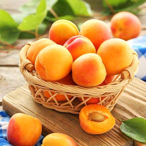 Marelica Diamond, С2 slika 1 članek 4277