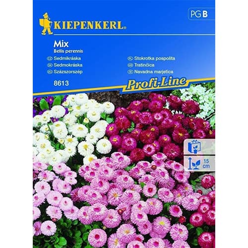 Marjetica Double, večbarvna mešanica slika 1 članek 86255