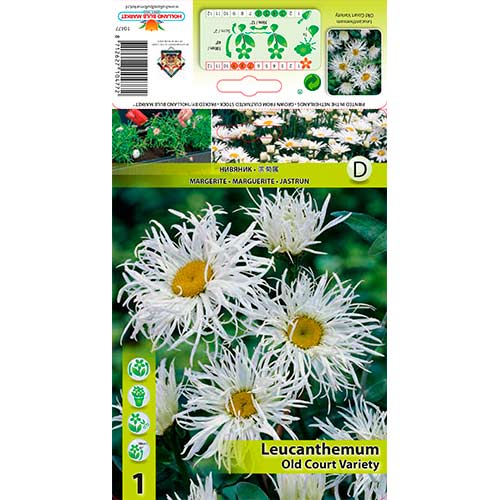 Marjetica Old Court Variety slika 1 članek 76613