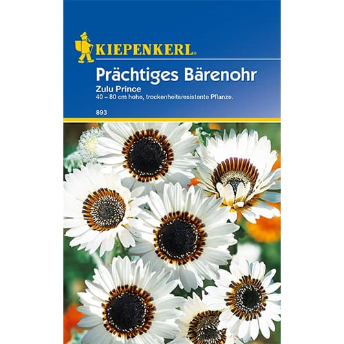 Marjtica Zulu Prince slika 1 članek 77423