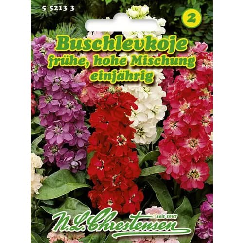 Matijole, zgodnje - mešanica slika 1 članek 96438