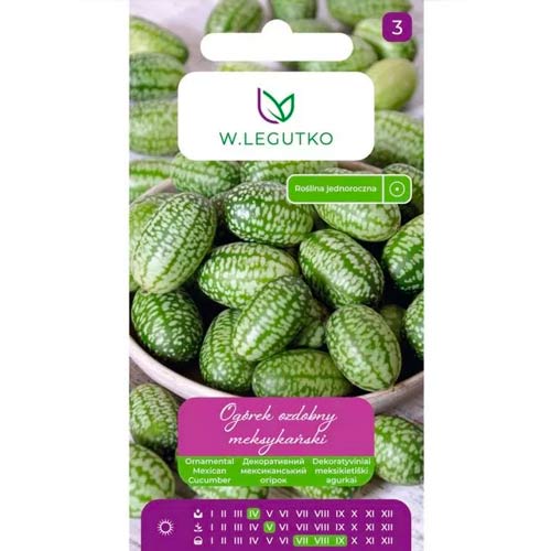 Mehiška okrasna kumara slika 1 članek 69614