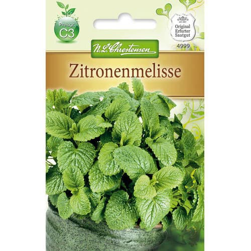 Melisa Chrestensen slika 1 članek 78874